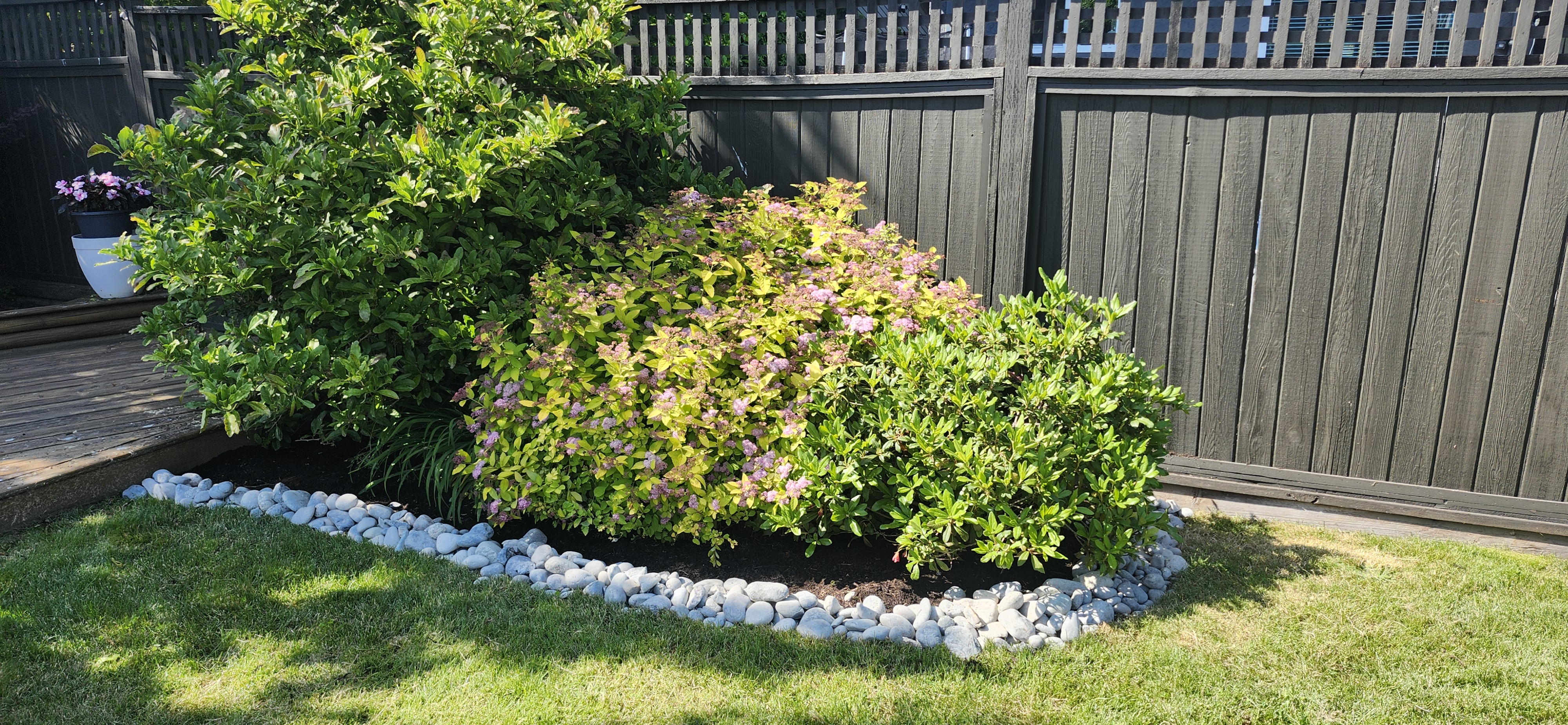 Softscaping Services